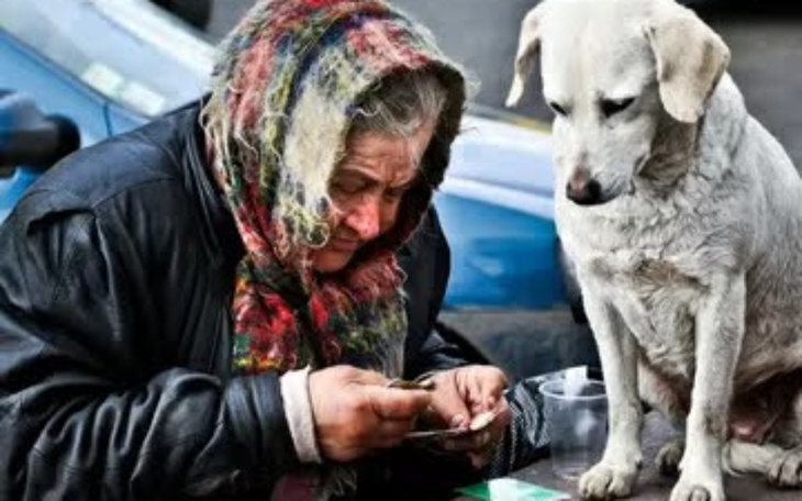Zbiórka Pomoc uchodźcom i ich zwierzętom - zdjęcie główne