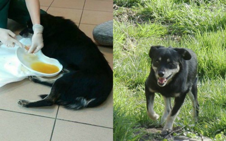 Rodzina pozująca przy choince w świątecznym klimacie.