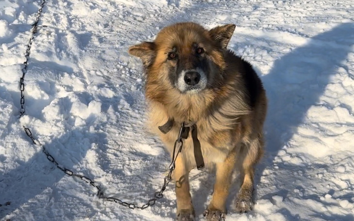 Zbiórka Upodlona Sara prosi wsparcie - zdjęcie główne