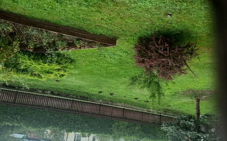 Zbiórka Na życie bez toksyka - zdjęcie główne