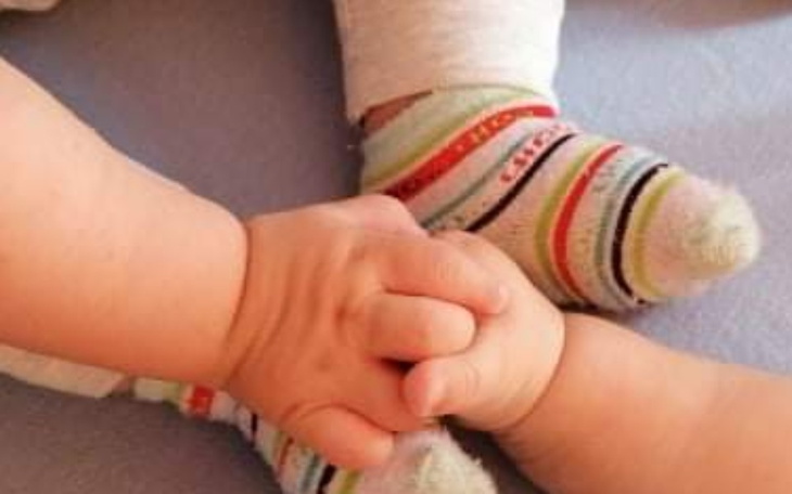 Zbiórka Xol - zdjęcie główne