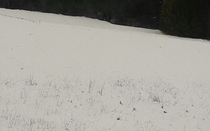 Zbiórka Domek, restauracja w Beskidach!! - zdjęcie główne