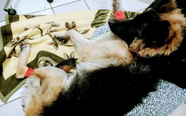 Zbiórka Nasz mały walczy o życie - zdjęcie główne