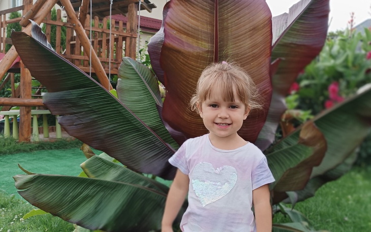 Zbiórka Migdały Anielki - adenotomia - zdjęcie główne