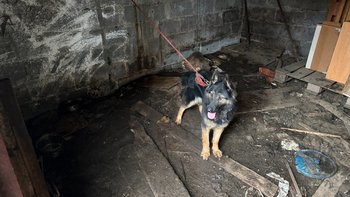 Zbiórka Uratujmy je z ciemności - miniaturka zdjęcia