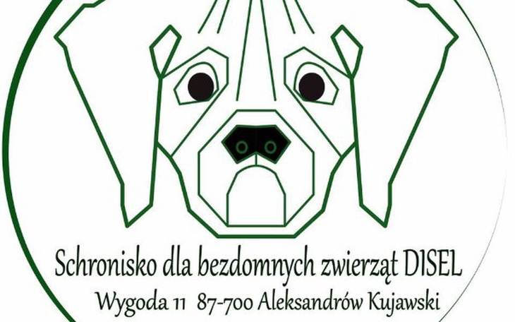 Zbiórka Urodzinowa zrzutka - zdjęcie główne