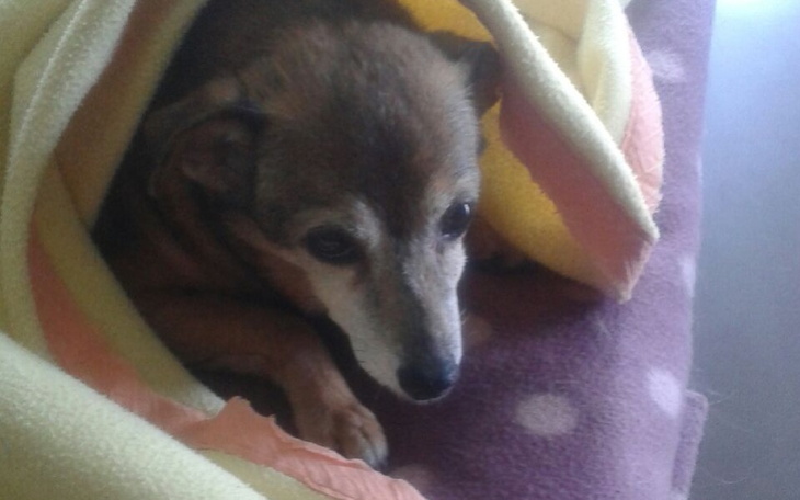 Zbiórka Nie możemy przerwać leczenia - zdjęcie główne