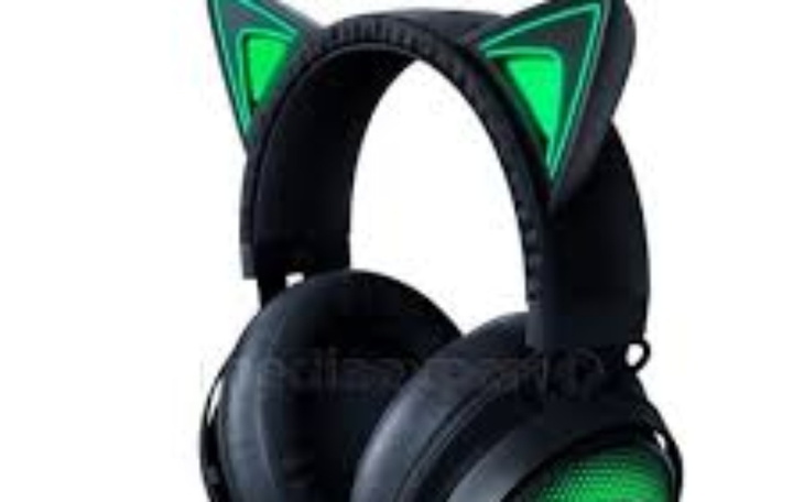 Zbiórka Na słuchawki dla idola 3333 - zdjęcie główne