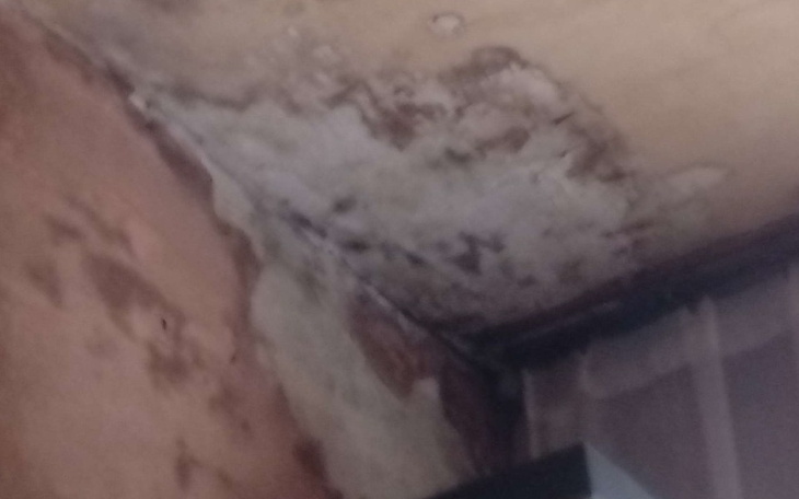 Zawilgocona ściana w pomieszczeniu.