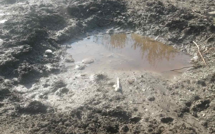 Staw z wodą w zarośniętym terenie.