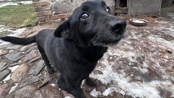 Zbiórka Guz, ból, starość - Mały Maik - miniaturka zdjęcia