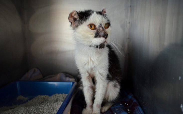 Zbiórka Jak miłość potrafi zabić... - zdjęcie główne