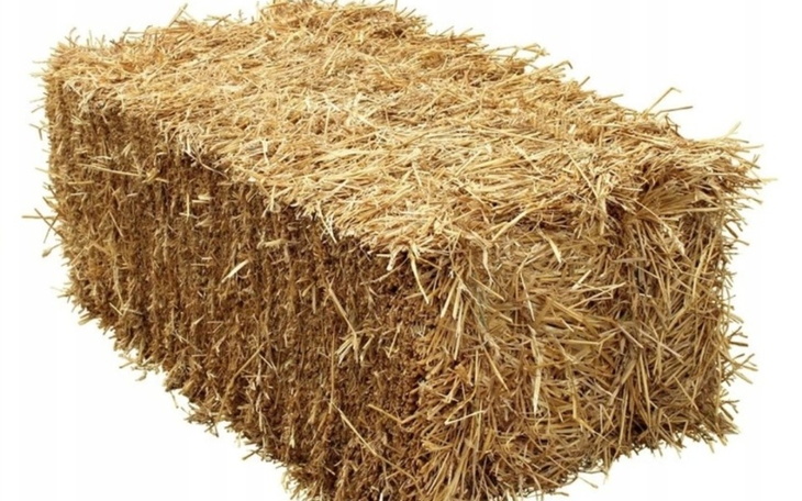 Zbiórka Słoma dla Kącikowych - zdjęcie główne