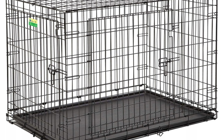 Zbiórka Kennel do domu tymczasowego - zdjęcie główne