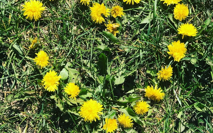 Zbiórka Gest wsparcia dla Chłopca - zdjęcie główne