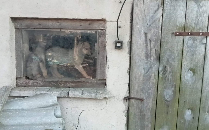 Zbiórka Koniec tego PIEKŁA - zdjęcie główne