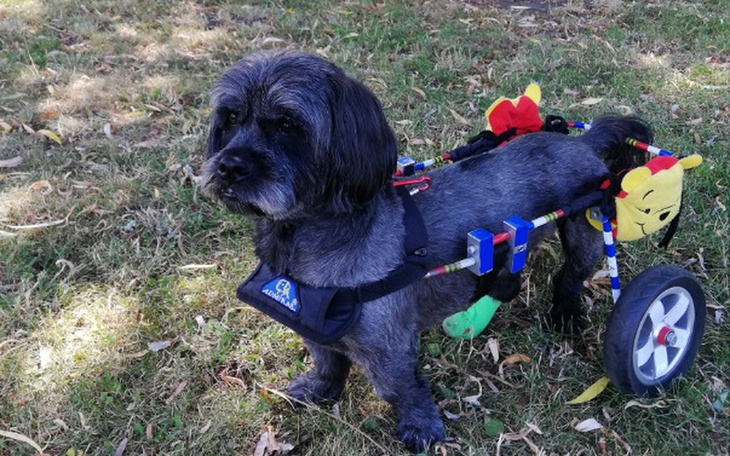 Zbiórka Pomóż mi zacząć znowu biegać - zdjęcie główne