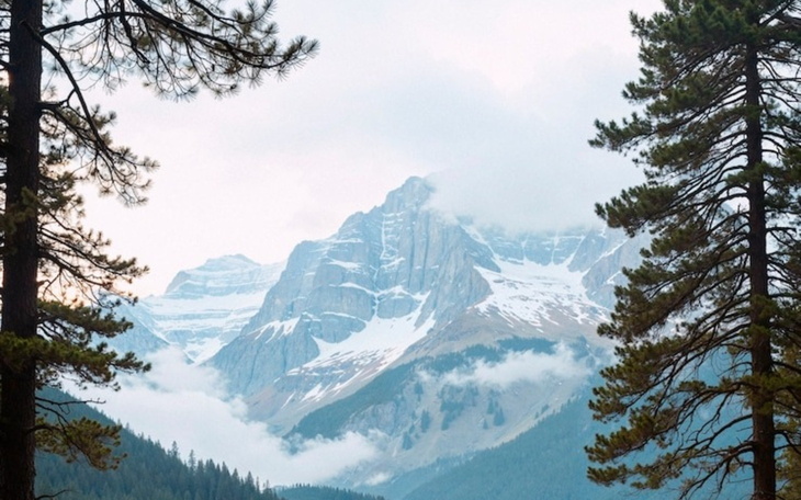 Widok gór z drzewami w pierwszym planie, mgła nad szczytami.