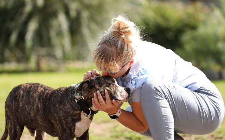 Zbiórka Artoskopia i implanty - zdjęcie główne