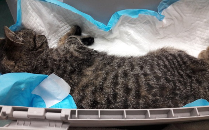 Zbiórka Zaległa faktura - zdjęcie główne