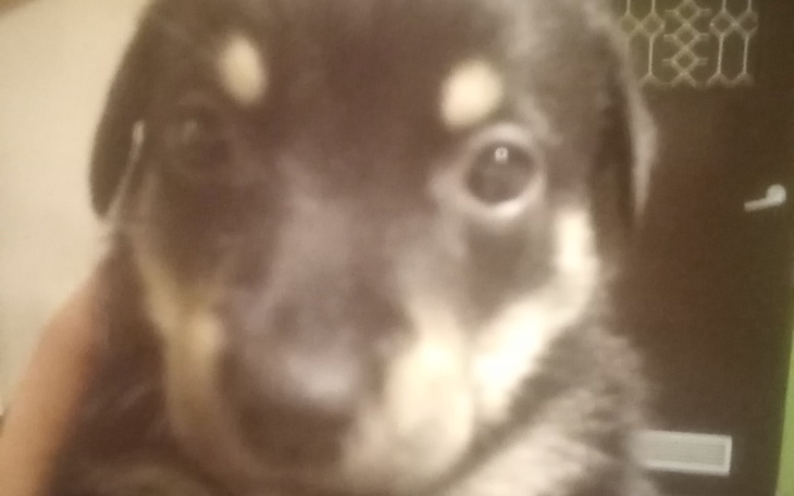 Zbiórka Mieszkanie oplata - zdjęcie główne