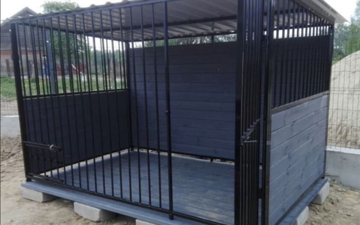 Zbiórka Zbiórka na bezpieczne kojce - zdjęcie główne