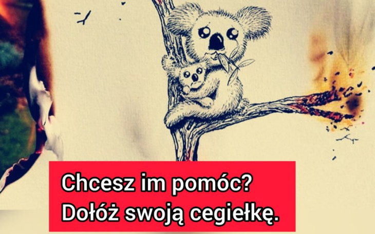 Zbiórka Australia. Pomóż zwierzętom. - zdjęcie główne