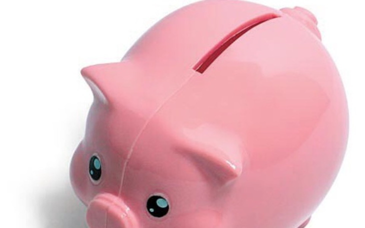 Zbiórka Nawrzucaj SKARBONKA dla zwierząt - zdjęcie główne