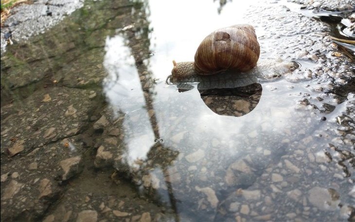 Zbiórka By fotografować życie - zdjęcie główne