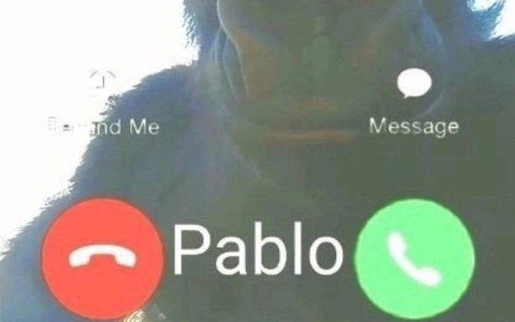 Zbiórka Airpods z etui z rodziną ohio - zdjęcie główne