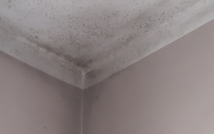 Zbiórka W nas siła - zdjęcie główne