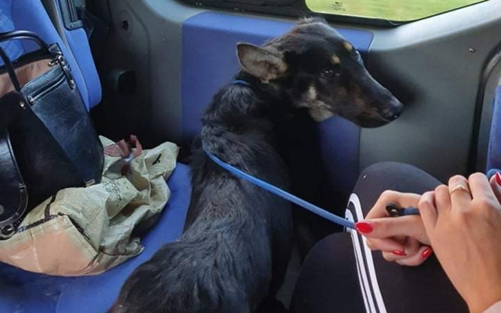 Zbiórka Nowy chudzielec na pokładzie - zdjęcie główne