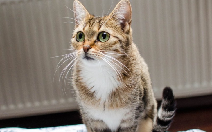 Zbiórka Ana prosi o możliwość leczenia - zdjęcie główne