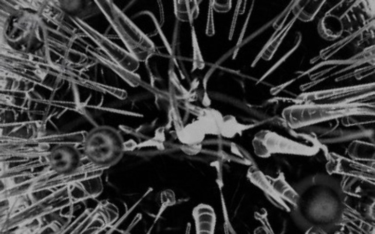 Zbiórka Wsparcie Szpitala Poznań - zdjęcie główne