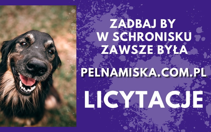 Uśmiechnięty pies na tle fioletowego tła z informacją o licytacjach.