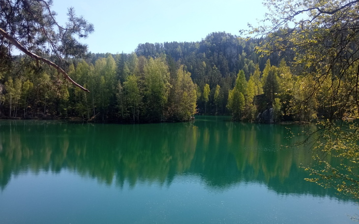 Zielona woda otoczona drzewami w słoneczny dzień.