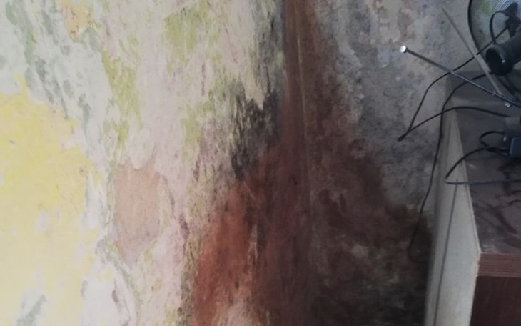 Zbiórka Zagrzybiony cały dom - zdjęcie główne