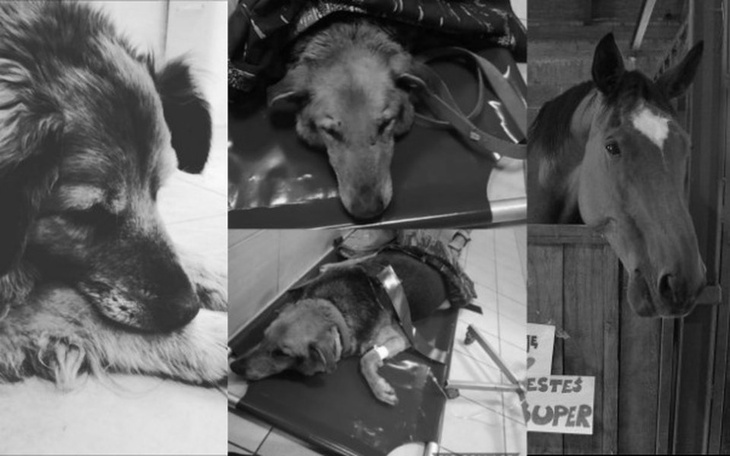 Zbiórka Szansa na życie kosztuje - zdjęcie główne