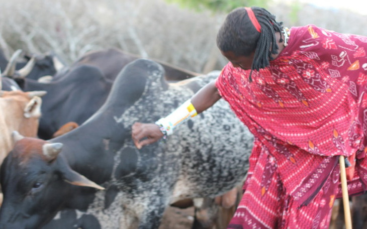 Zbiórka Marzenie Alexa - zdjęcie główne