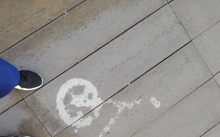 Zbiórka Pomagamy/Rozwijamy Życie damy - zdjęcie główne