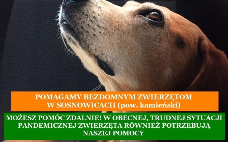Zbiórka Schronisko 3e - zdjęcie główne