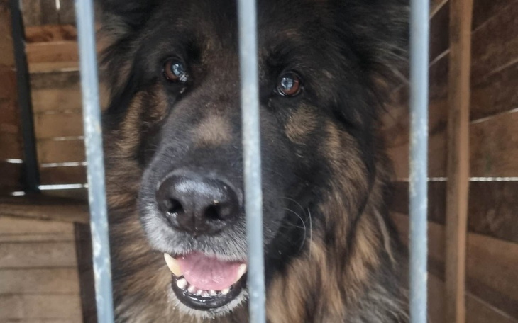 Zbiórka Po godność dla Hiro - zdjęcie główne