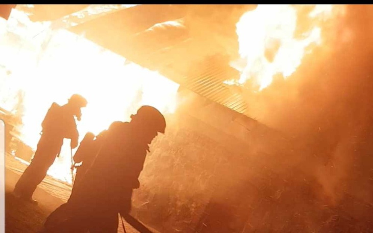 Zbiórka Pomóżmy odbudować tartak - zdjęcie główne