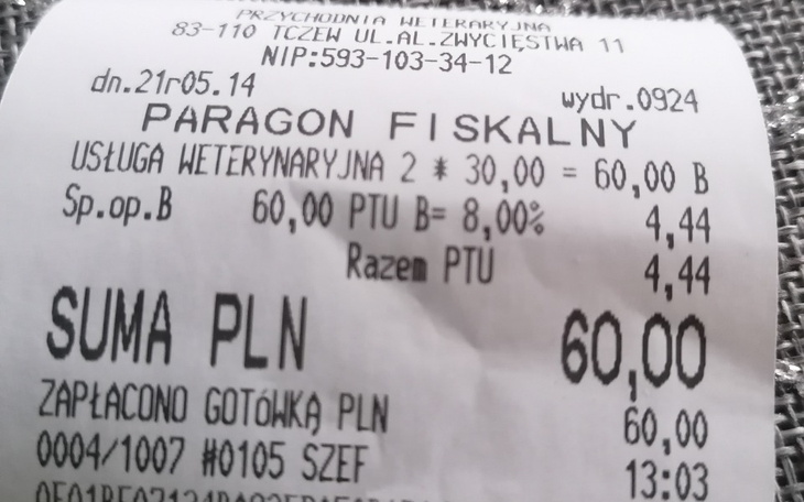 Zbiórka Kociaki z Wyzwolenia - zdjęcie główne