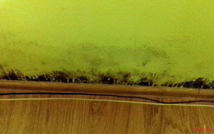 Zbiórka Pomóż mi w remoncie naszego domu - zdjęcie główne