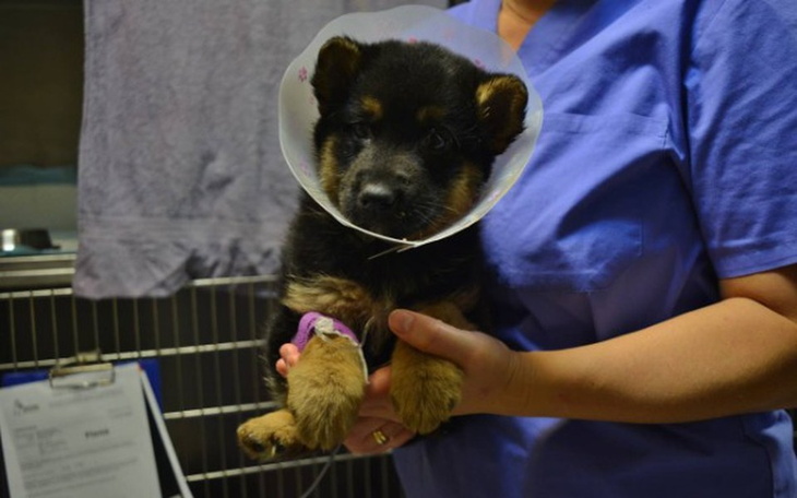 Zbiórka Człowiek to zrobił, co dalej? - zdjęcie główne