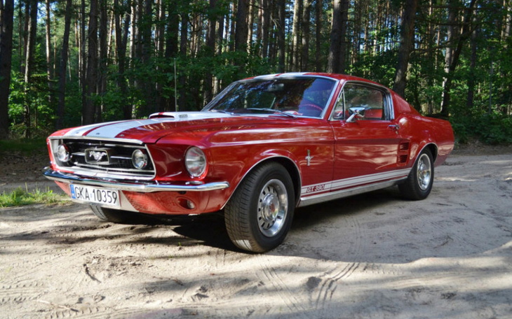 Zbiórka Mustang dla przyszłej żony - zdjęcie główne