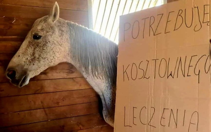 Zbiórka Drogie LECZENIE, albo CIERPIENIE - zdjęcie główne