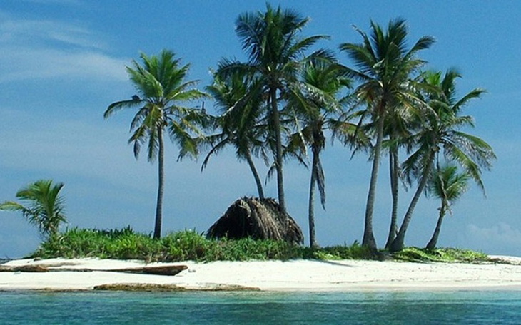 Zbiórka Wspólne Wakacje z Babcią - zdjęcie główne