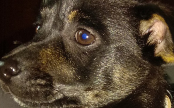 Zbiórka Na wymazony komputer prosze plse - zdjęcie główne